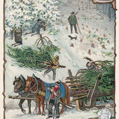 liebig sammelbilder jugendzeit blumen jahreslauf liebig sammelbilder jugendzeit blumen jahreslauf