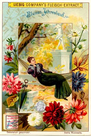 Liebig-Sammelbilder Serie Blumen-Jahreslauf - aus meiner Sammlung