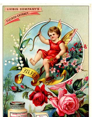 Liebig-Sammelbilder Serie Jahresreigen von 1894 - aus meiner Sammlung