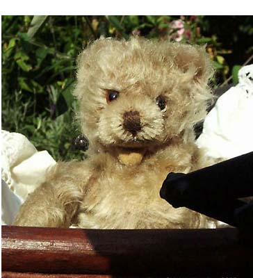 Firma Steiff - © Foto Sylvia Wentzlau