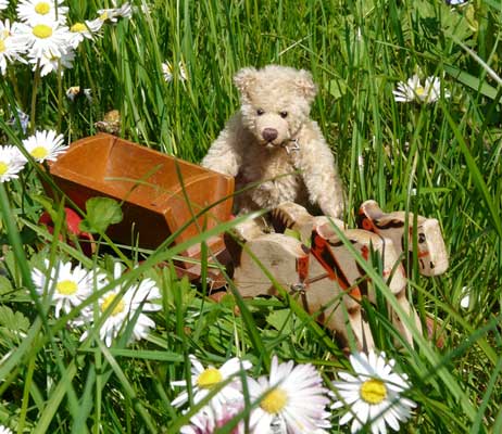 Miniaturbär von Unkel-Schäufelin - © Foto Sylvia Wentzlau