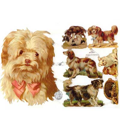 Bogen 7070, Genehmigung liegt vor