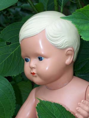 Cellba Hans von meiner Freundin Susanne