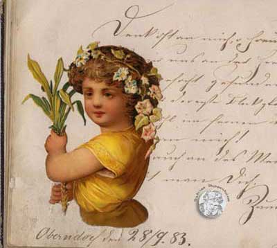 antikes Poesielalbum von 1879 - 1889