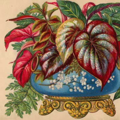 antikes Poesielalbum von 1900