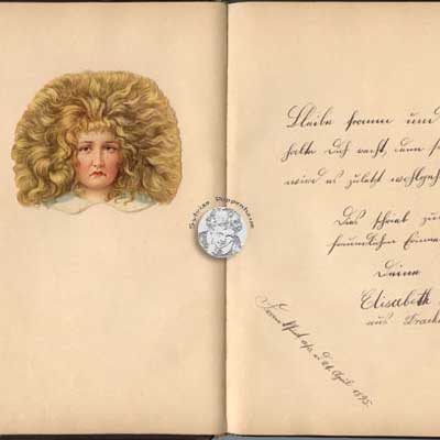 antikes Poesielalbum von 1879 - 1889