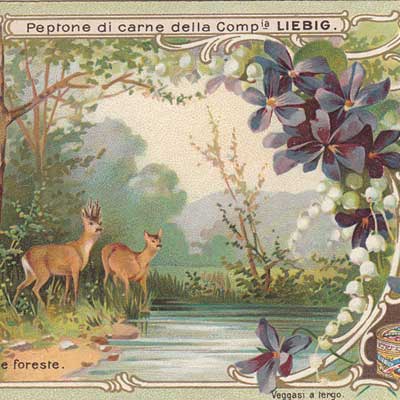 Geschichte vom Weihnachtsbaum, Serie 499/656, 1901