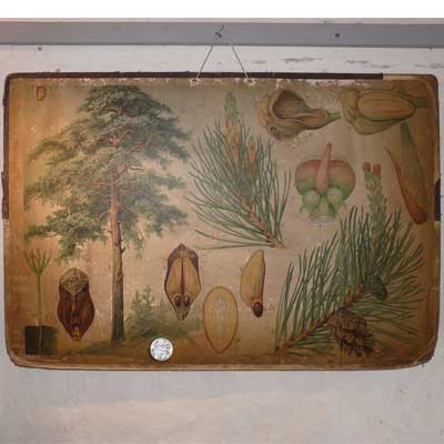 Ausstellung zur Schulgeschichte, Dorfschule Schloss Blankenhain