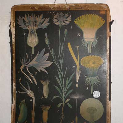 Ausstellung zur Schulgeschichte, Dorfschule Schloss Blankenhain