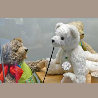 Mit Teddy durchs Dresdner Spielzeugland